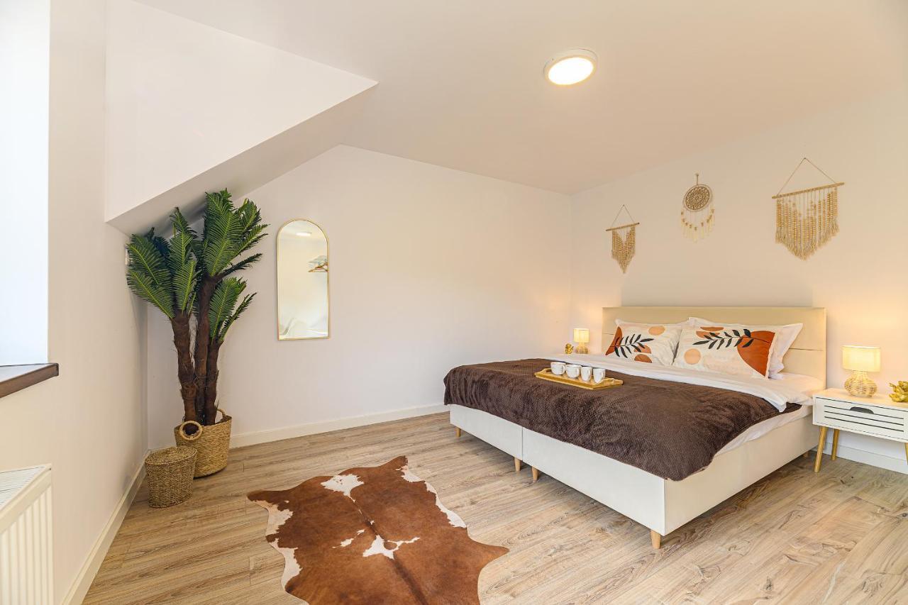 Safari Family Villas Near Park Aventura,Lake,Zoo Brasov Exterior photo