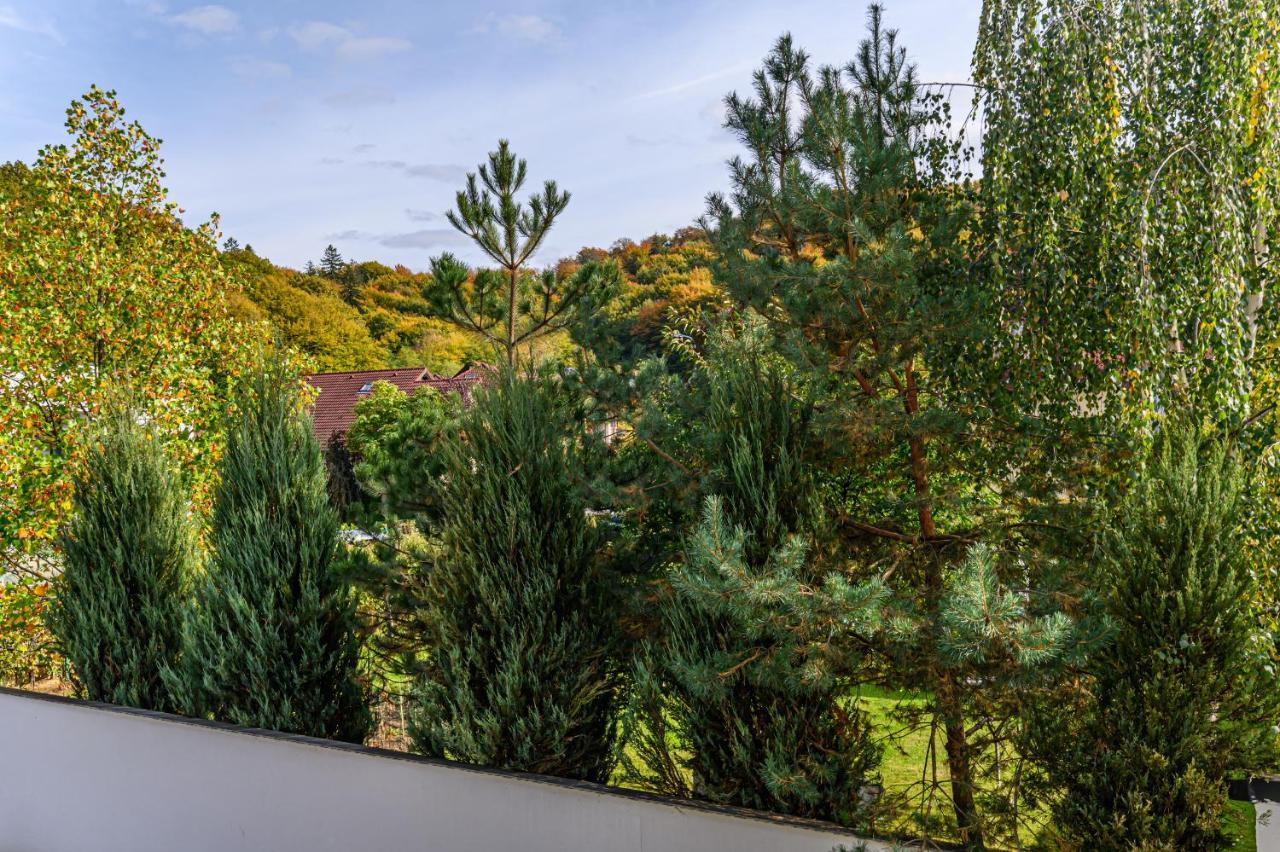 Safari Family Villas Near Park Aventura,Lake,Zoo Brasov Exterior photo